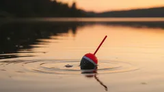 De ce pescuitul nu este plictisitor: iată ce se întâmplă cu creierul în timpul acestei activități